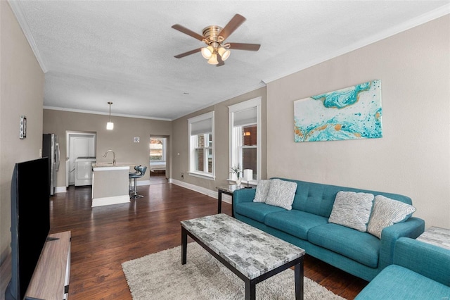 living room with washer / dryer, dark hardwood / wood-style flooring, a textured ceiling, and ornamental molding