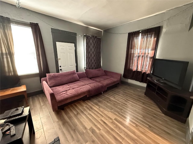 living room featuring hardwood / wood-style flooring