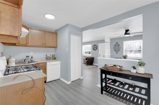 kitchen featuring ceiling fan, a healthy amount of sunlight, light wood-type flooring, and dishwasher