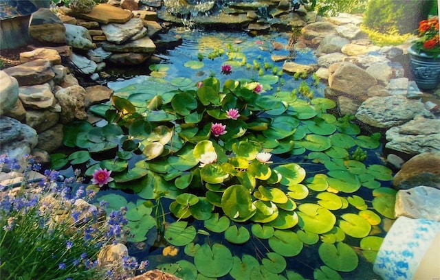 exterior details with a small pond