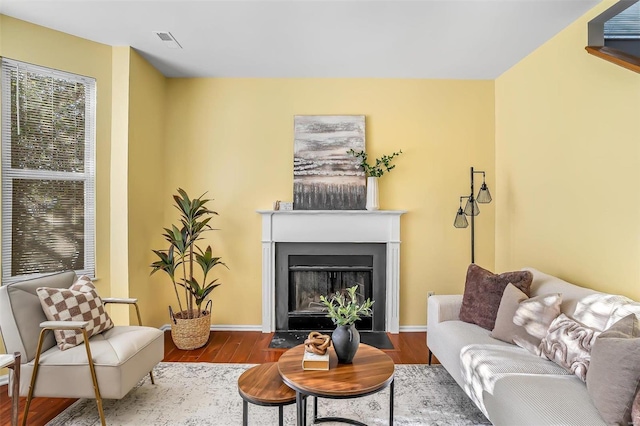 living room with wood-type flooring