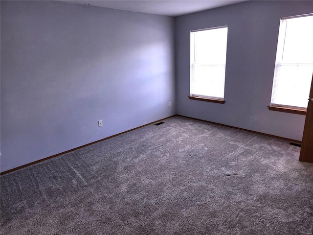 spare room featuring a wealth of natural light and carpet flooring