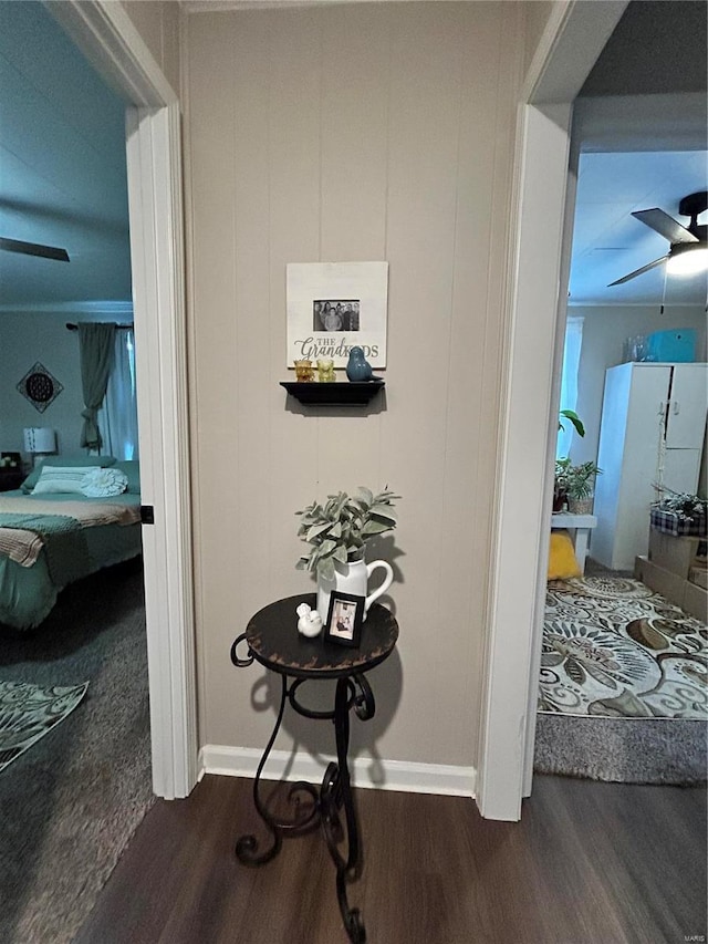 hallway with dark wood-type flooring