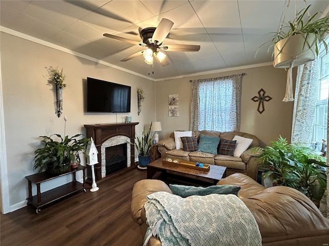 living room featuring ceiling fan, dark hardwood / wood-style floors, and crown molding