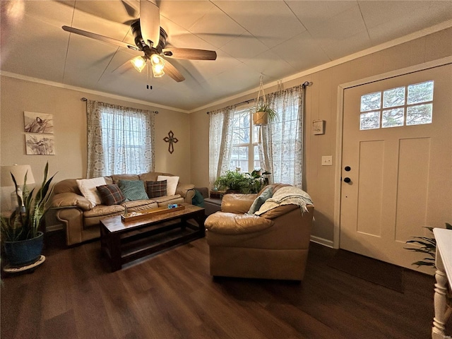 living room with ceiling fan, dark hardwood / wood-style flooring, and crown molding