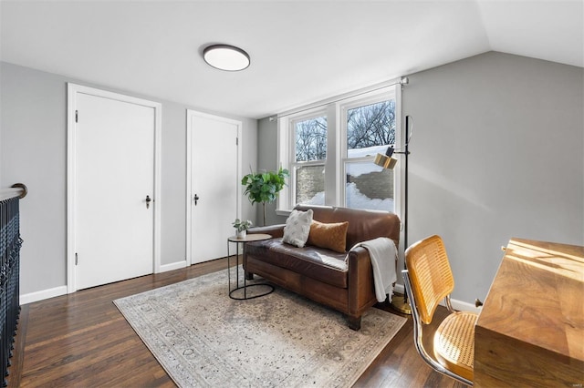 living room featuring dark wood-type flooring and vaulted ceiling