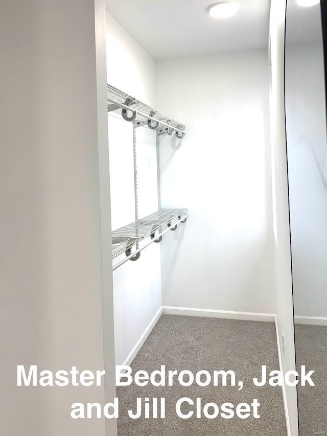 spacious closet featuring dark colored carpet