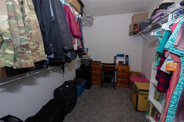 walk in closet with carpet floors