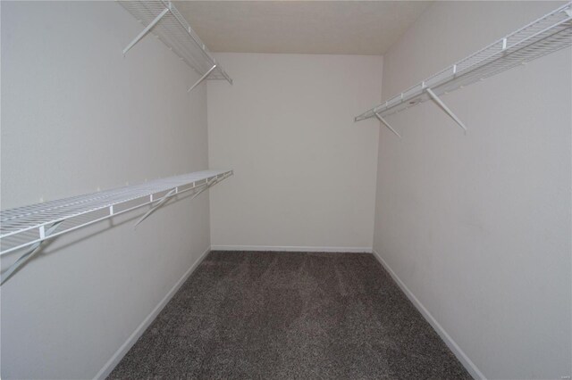 spacious closet with carpet flooring