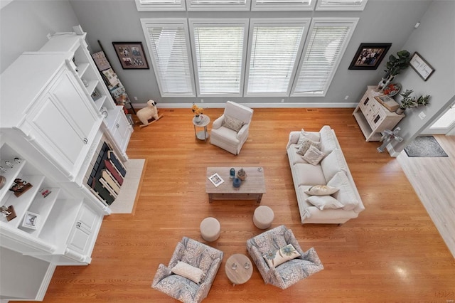 living room featuring light hardwood / wood-style floors