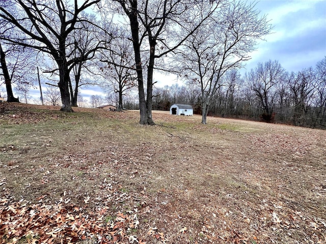 view of yard featuring a shed