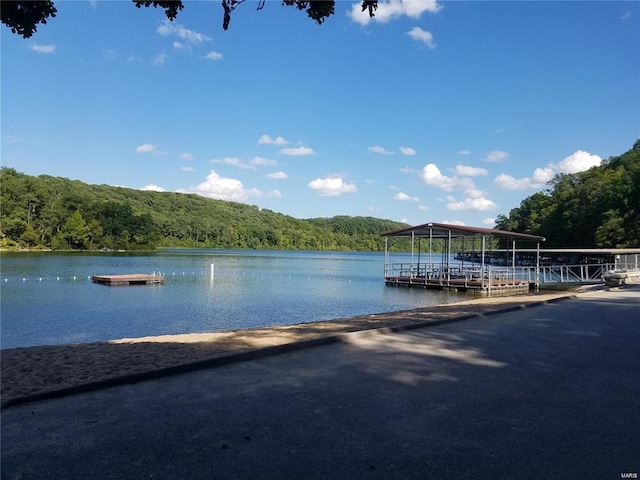 dock area featuring a water view