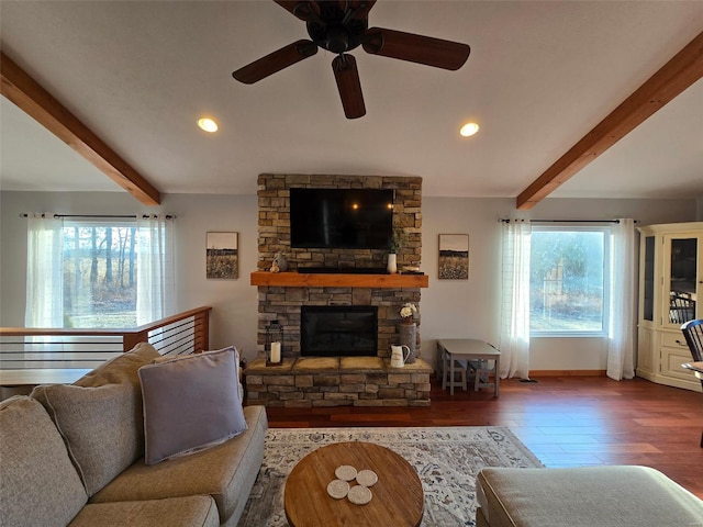 living room featuring beam ceiling, a fireplace, wood-type flooring, and plenty of natural light