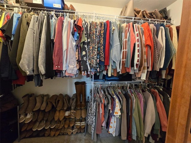 view of spacious closet