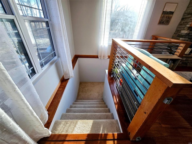 staircase featuring carpet floors