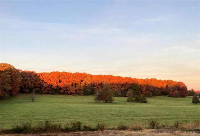 view of nature at dusk