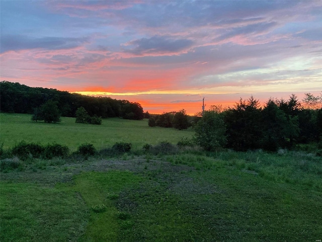 view of nature at dusk