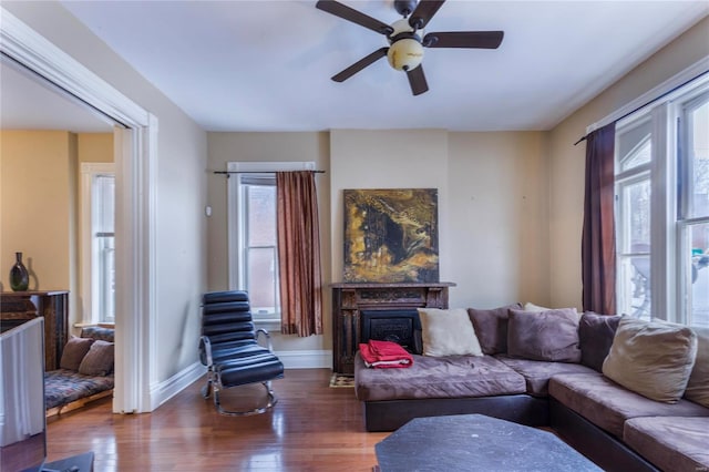 living room with ceiling fan and wood-type flooring