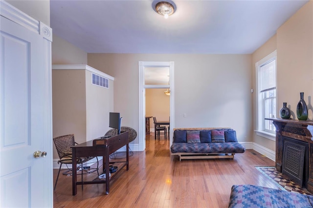 living room featuring wood-type flooring