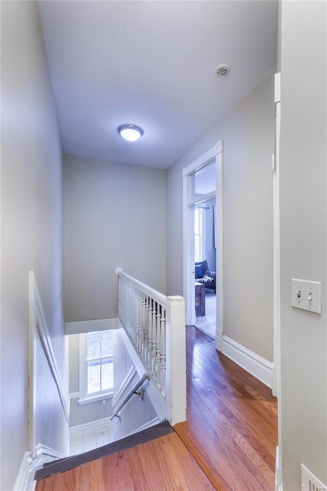 hall featuring wood-type flooring