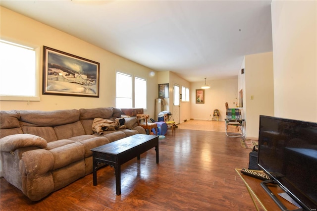 living room with wood-type flooring