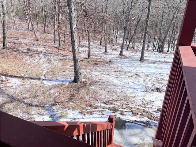 view of snowy yard