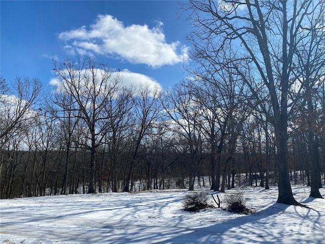 view of snowy yard