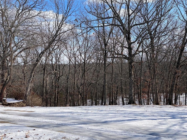 view of yard layered in snow