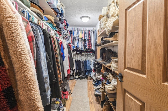 view of spacious closet