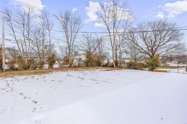 view of snowy yard