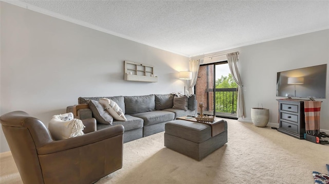 carpeted living room featuring ornamental molding and a textured ceiling