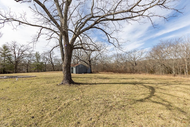 view of yard with an outdoor structure