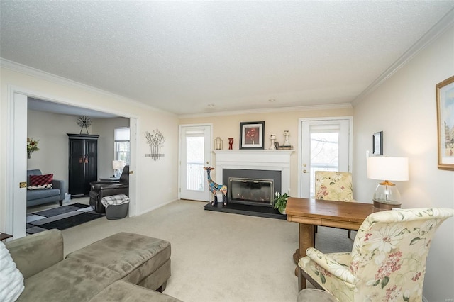 carpeted living room featuring crown molding and a textured ceiling