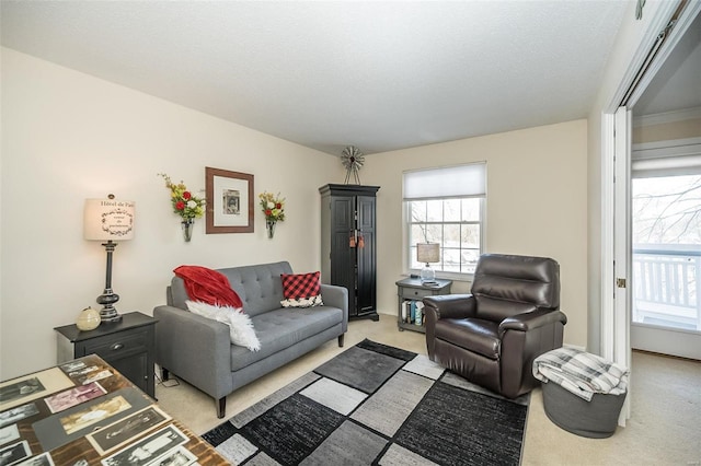 view of carpeted living room