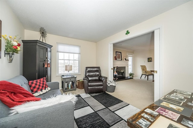 living room featuring a textured ceiling and light colored carpet