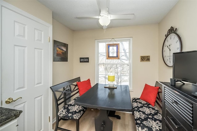 dining room featuring hardwood / wood-style flooring, a textured ceiling, and ceiling fan