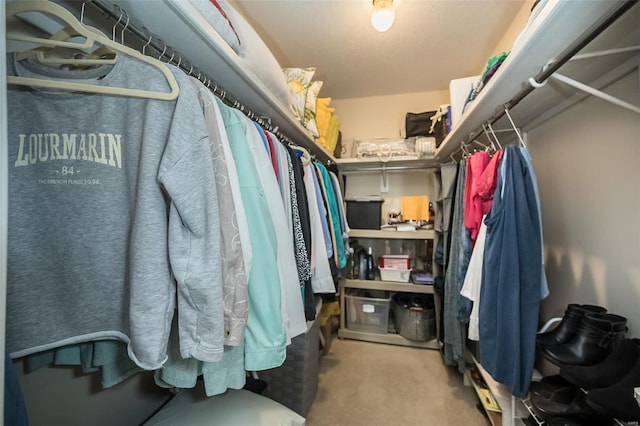 spacious closet featuring carpet