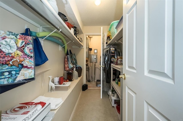 mudroom with light colored carpet and a textured ceiling