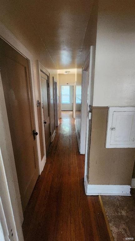 hall with dark hardwood / wood-style floors and electric panel