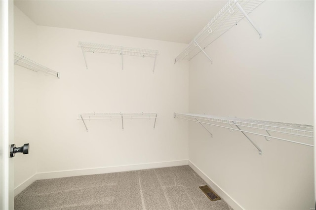 walk in closet with carpet