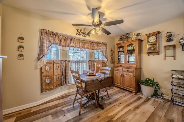 dining room with ceiling fan and light hardwood / wood-style floors