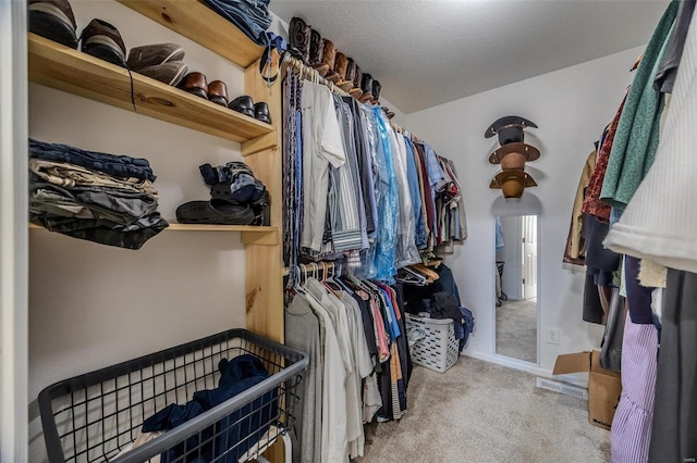 spacious closet featuring carpet