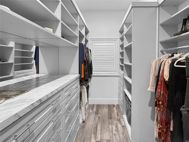 spacious closet featuring light hardwood / wood-style flooring