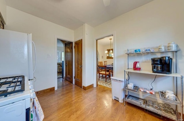 kitchen with white refrigerator and light hardwood / wood-style flooring