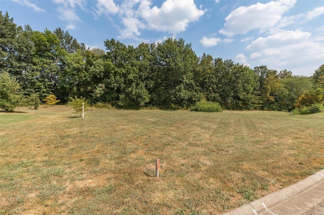 1176 Spring Brook Park Dr, Farmington MO, 63640 land for sale