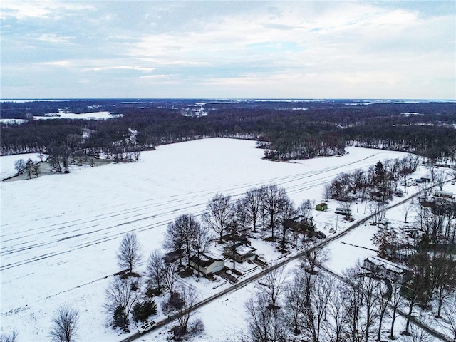 view of snowy aerial view