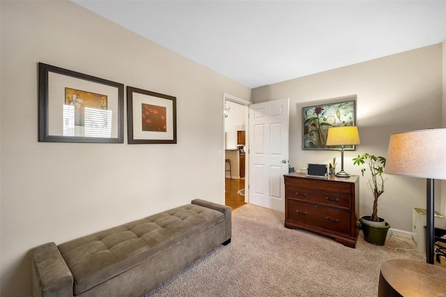 living area with light carpet