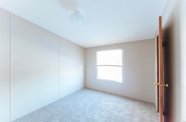 spare room featuring carpet flooring