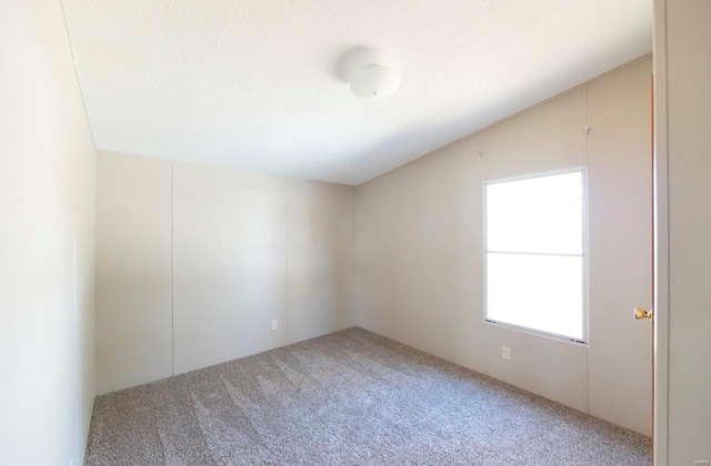 spare room with carpet floors and lofted ceiling