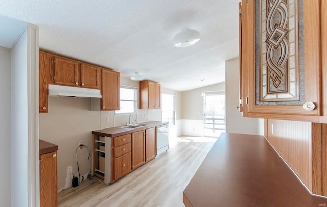 kitchen with lofted ceiling, dishwasher, a textured ceiling, light hardwood / wood-style flooring, and sink